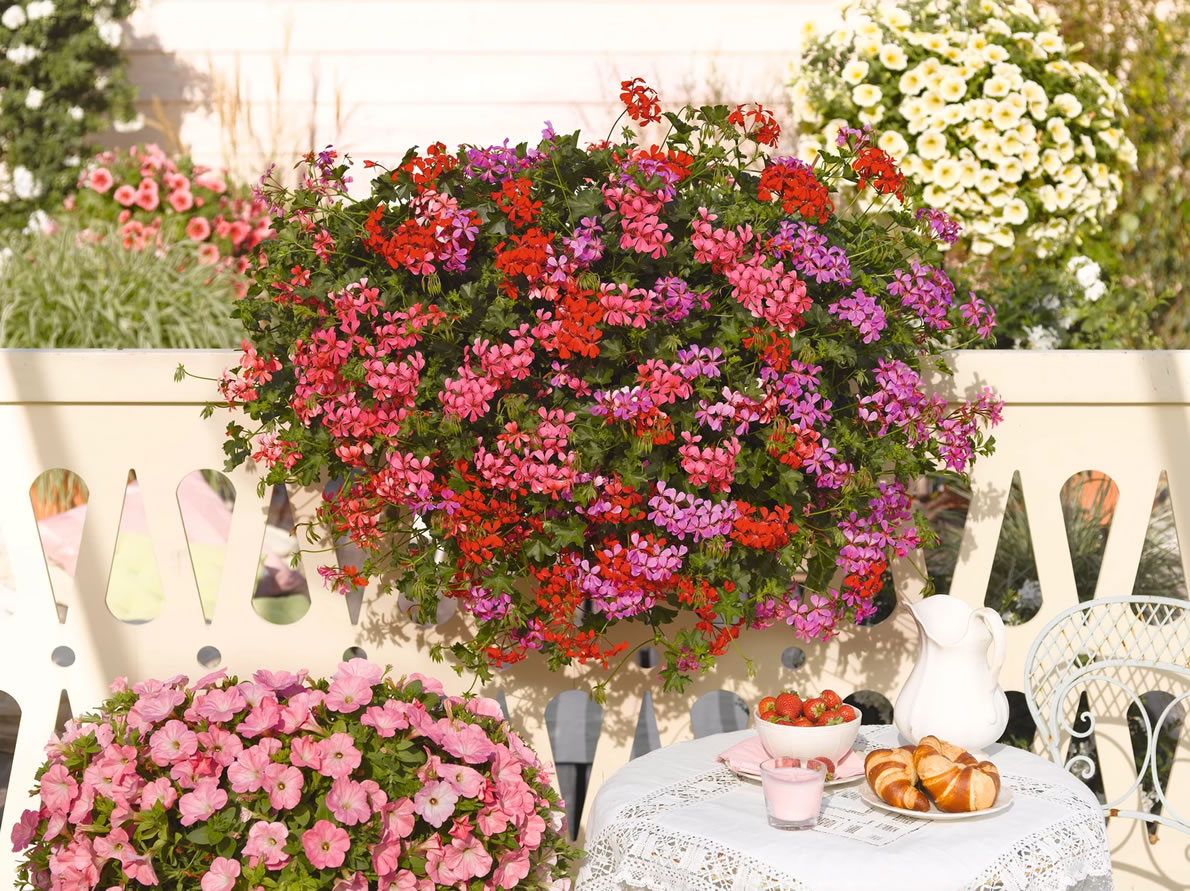 Lagerhaus Mieminger Plateau - Baustoffe & Gartencenter